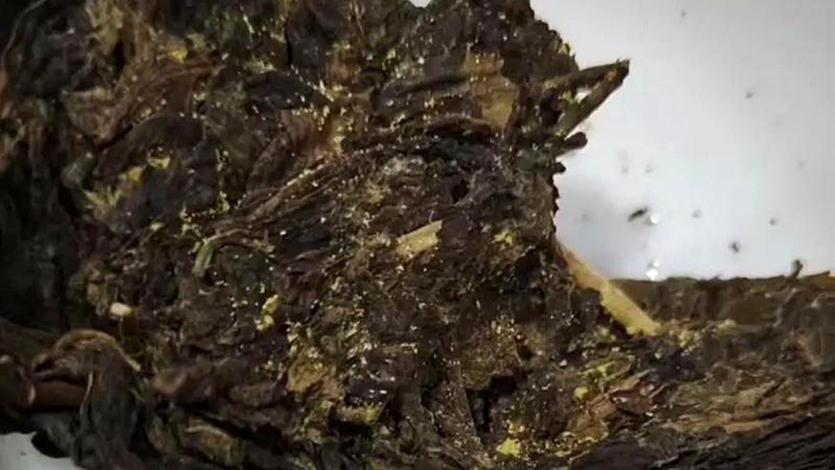 安化黑茶的六大品类，你喝过几种？