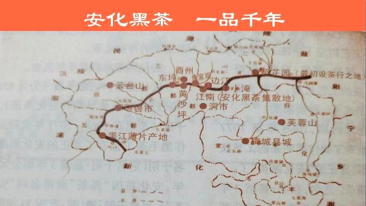 黑茶出口史：安化黑茶进入国际市场的历程