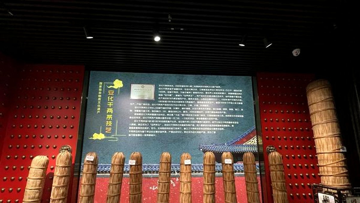 安化茶马博物馆：一座建筑里的黑茶历史长卷