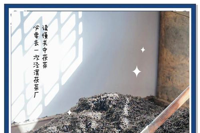 茯砖茶发花工艺