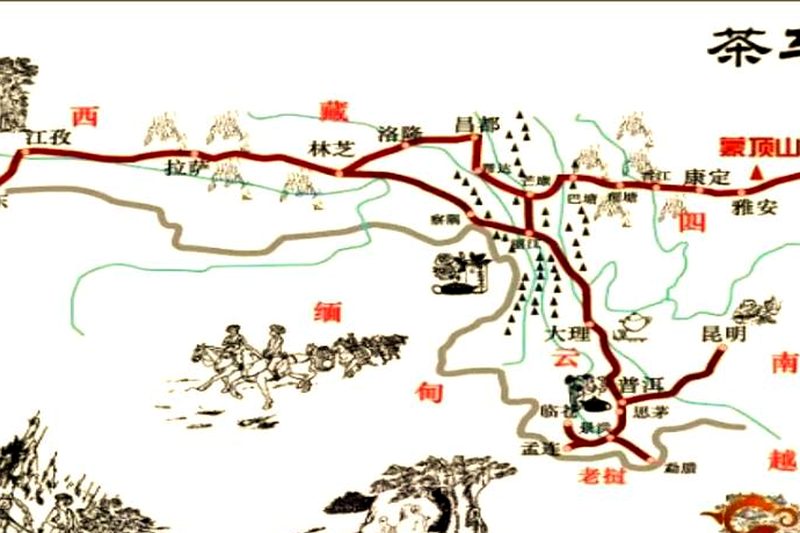 茶叶贸易古代丝路