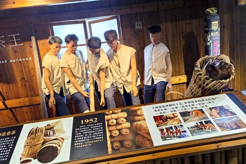 黑茶历史展览陈列