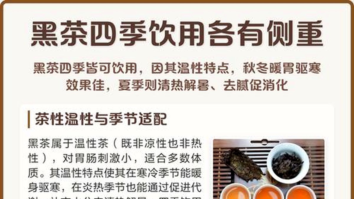 春夏秋冬四季喝法：黑茶的季节性冲泡差异