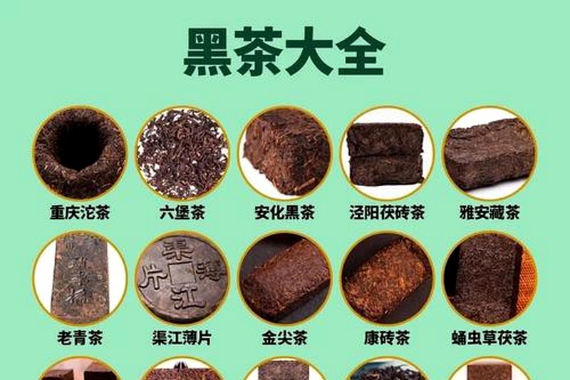 散茶天尖贡尖生尖：三个等级的实际区别-1