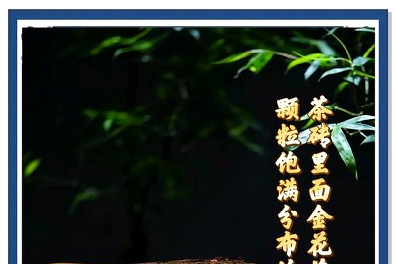 黑茶的叶底发黑是正常的吗？-2