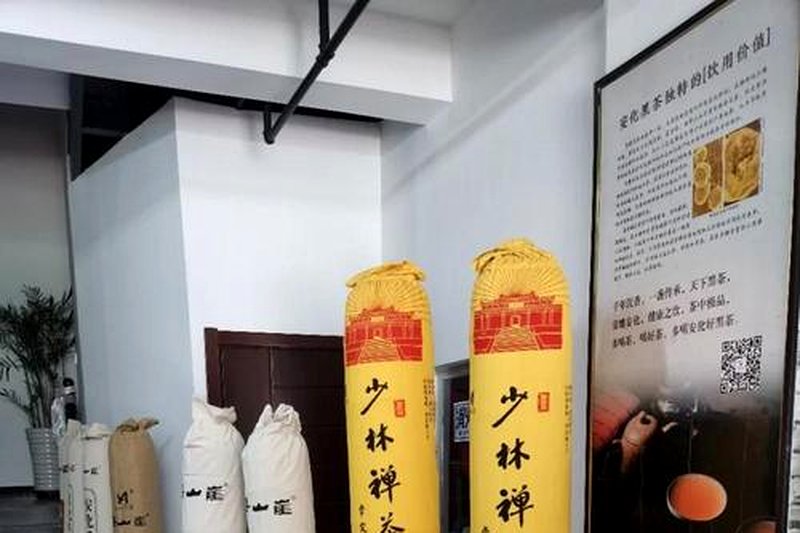 安化渠江薄片：比千两茶更古老的历史名茶-2