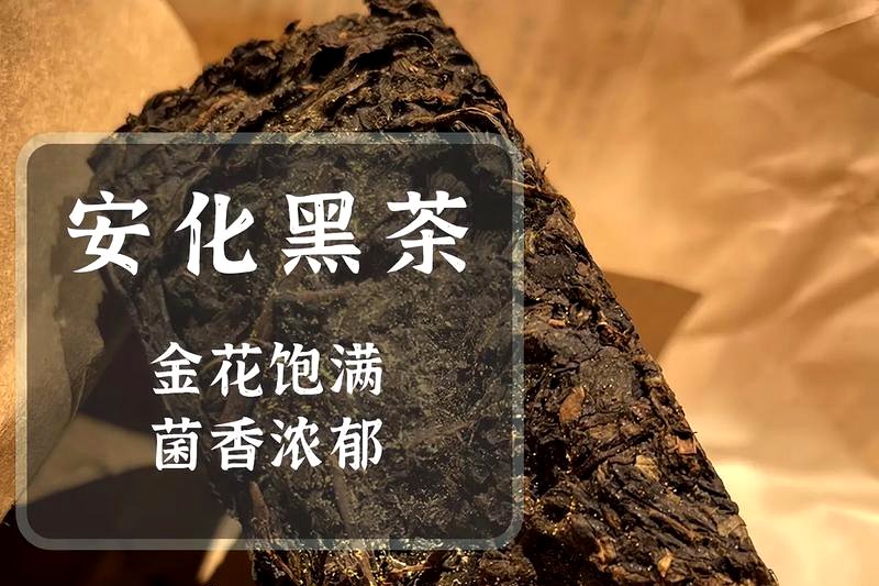 黑茶连续冲泡的耐泡次数：各品类能泡几道？-1