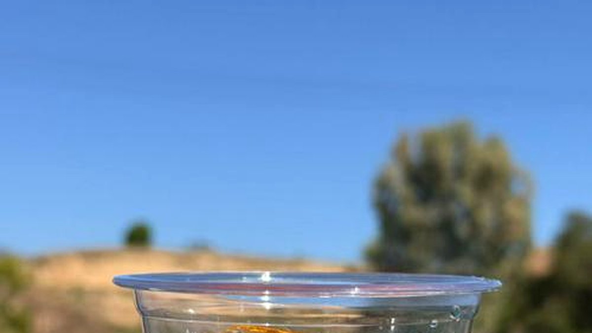 黑茶的冰饮做法：夏日冰镇黑茶怎么调最好喝？