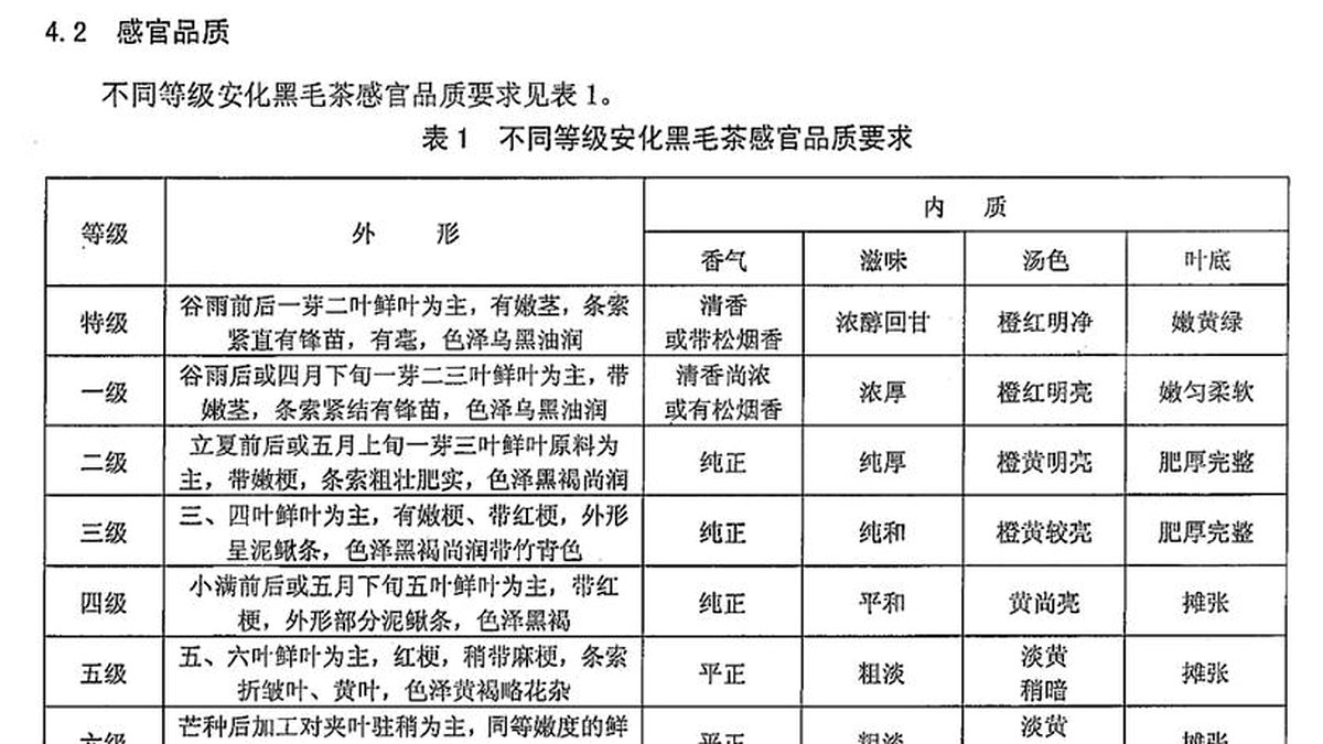安化黑茶的原料等级：从茶芽到粗梗，哪级最值得喝？