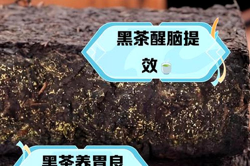 黑茶里的茶多糖：调节血糖的神奇物质-2