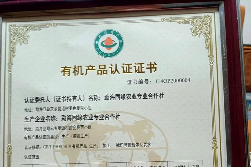 安化茶叶地理标志：一纸证书背后的产业故事-1