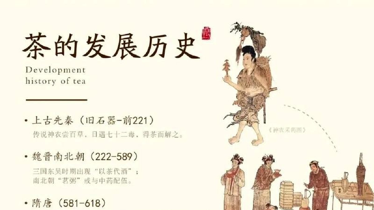 新中国成立后的安化黑茶：计划经济时代的茶业改革