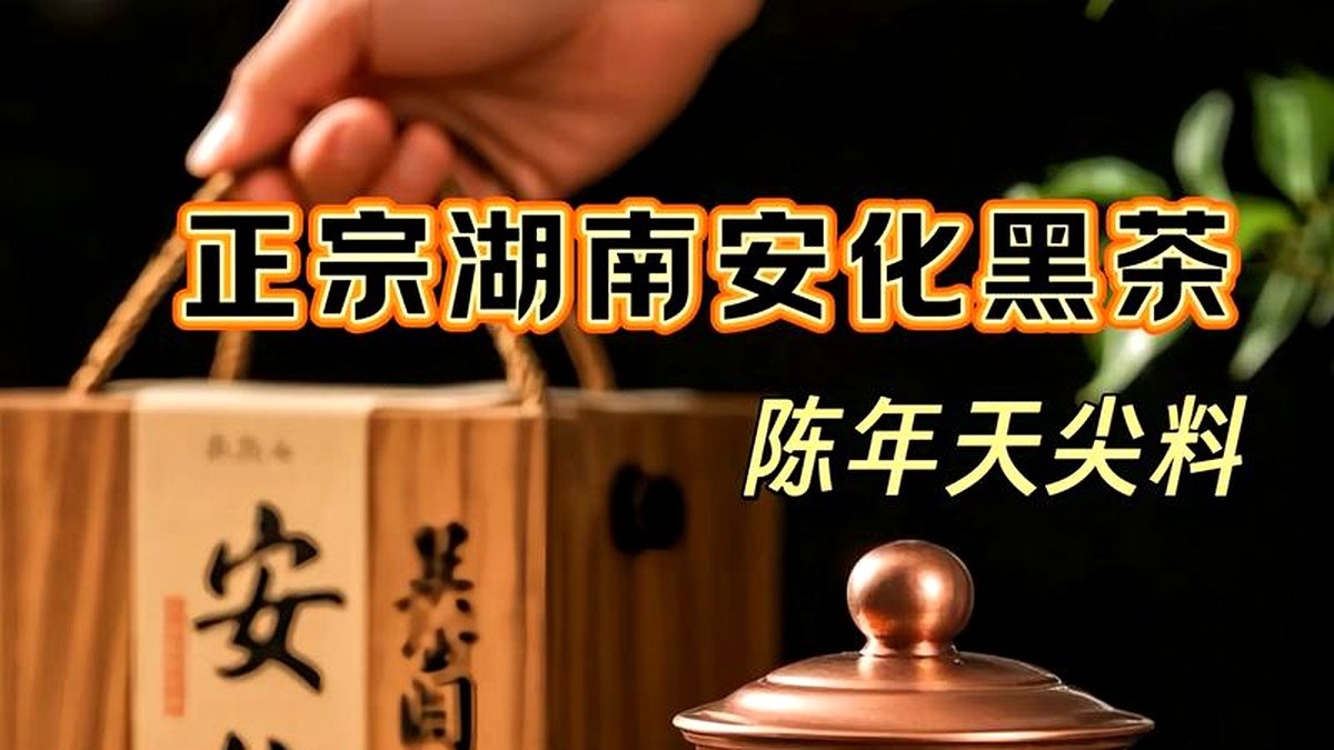 当代安化黑茶复兴：从边销茶到健康茶的华丽转身