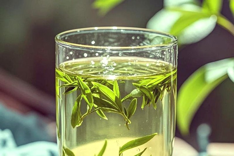 黑茶vs绿茶：同一片叶子为什么滋味差别这么大？-1