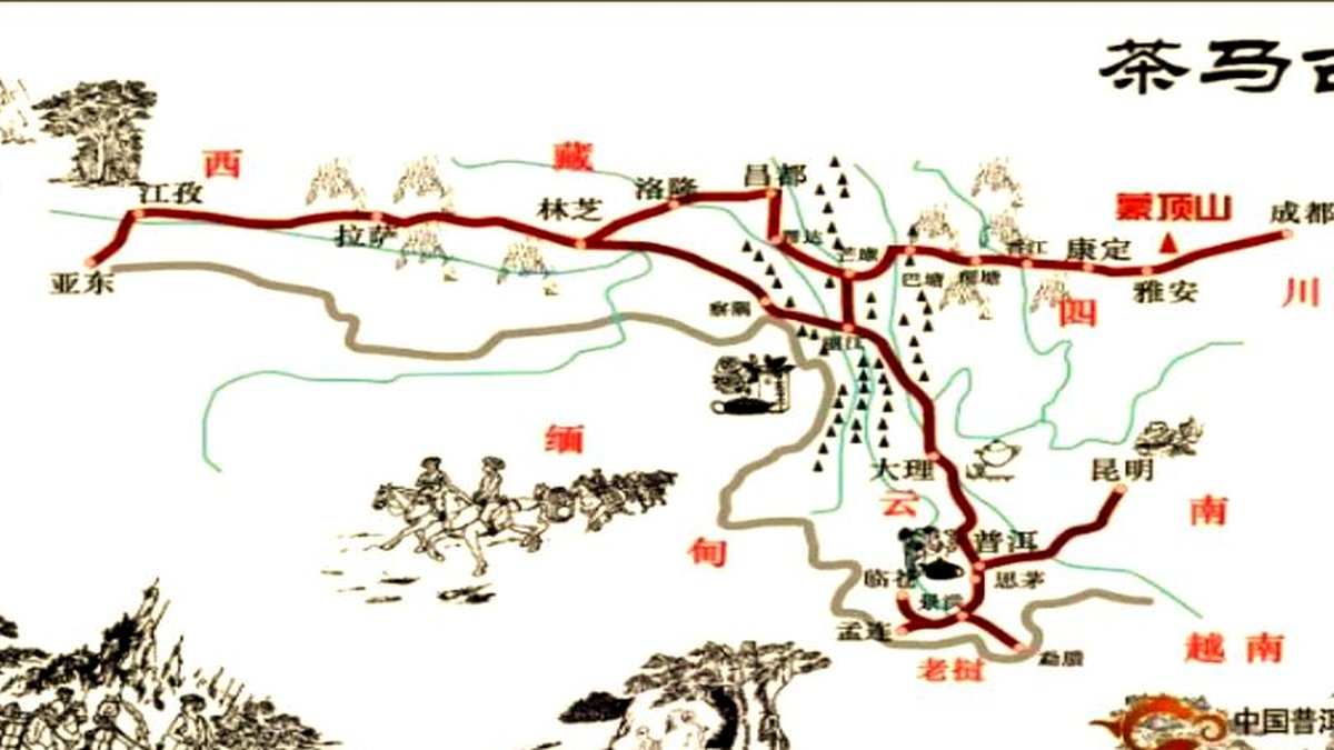 安化黑茶与丝绸之路：草原茶道的历史见证