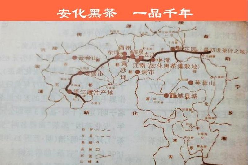 安化黑茶与丝绸之路：草原茶道的历史见证-1