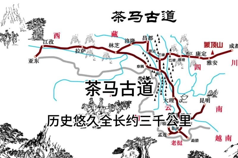 安化黑茶与丝绸之路：草原茶道的历史见证-2