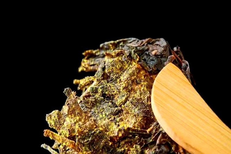黑茶的叶底发黑是正常的吗？-1