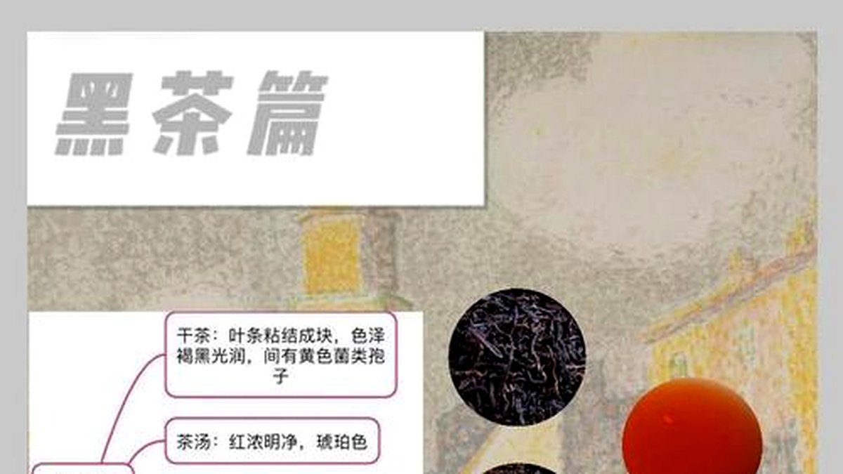 黑茶加奶的正确做法：港式奶茶与西北奶茶的区别