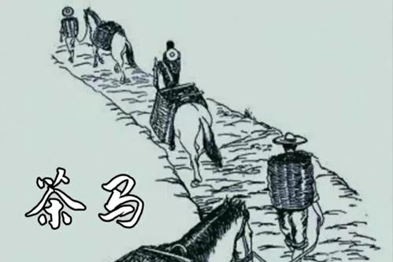 明代茶法改革：安化黑茶如何成为国家专卖商品？-2