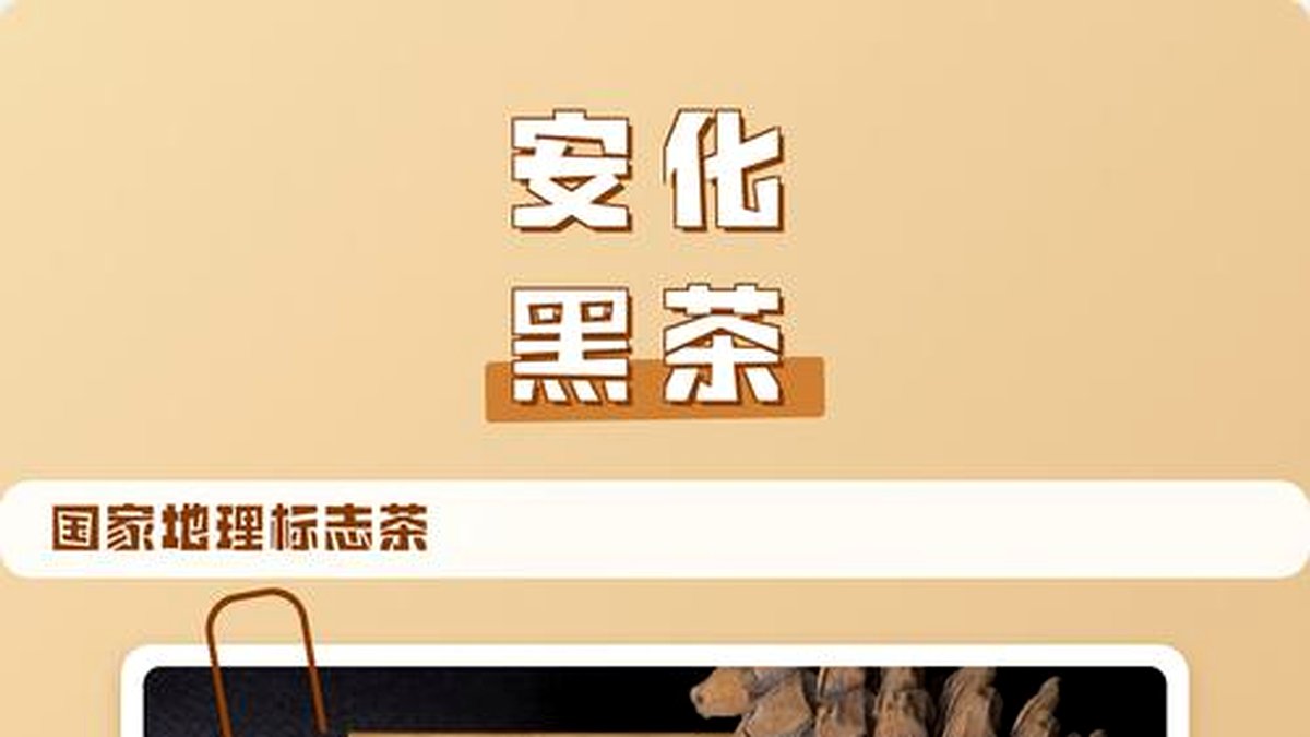 安化茶叶地理标志：一纸证书背后的产业故事