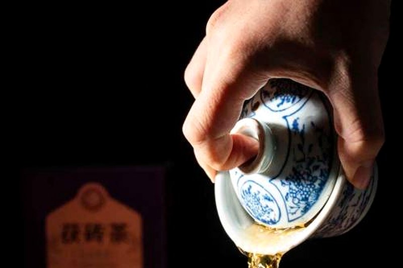 黑茶养生茶方：茯砖+菊花+陈皮的调配逻辑-2