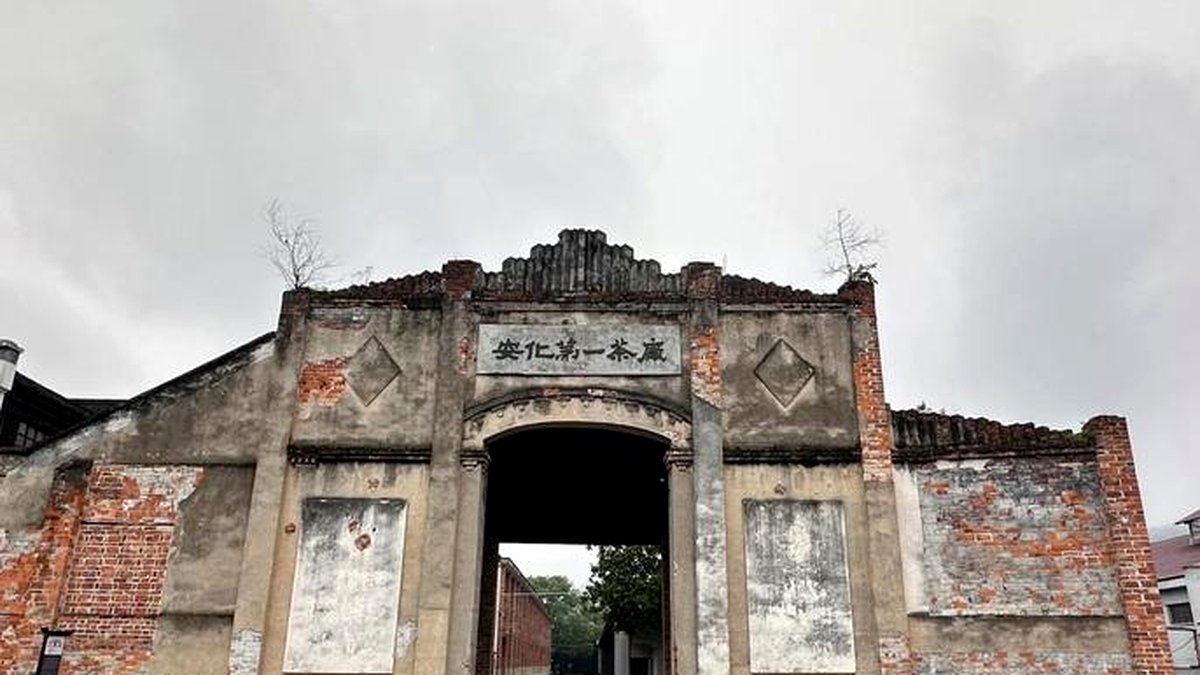 近现代安化茶厂兴建史：国营茶厂的黄金岁月