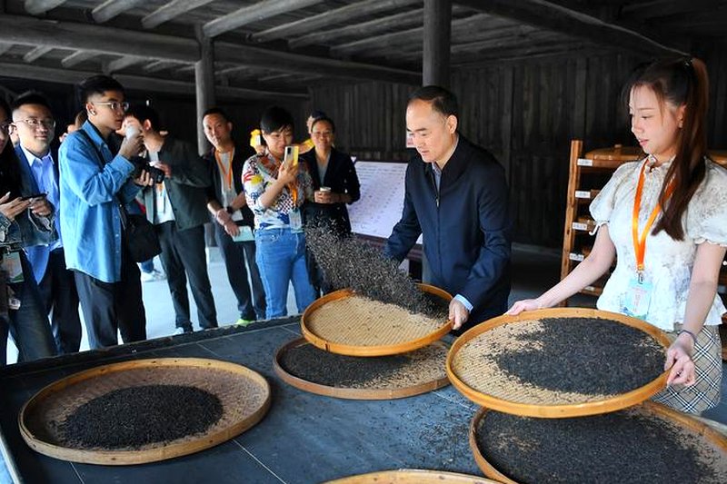 近现代安化茶厂兴建史：国营茶厂的黄金岁月-2