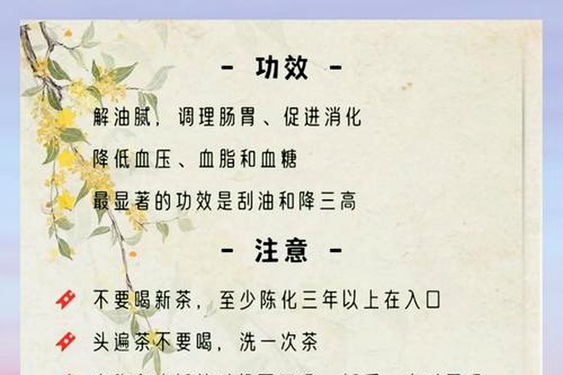 黑茶能天天喝吗？一天最多喝多少合适？-2