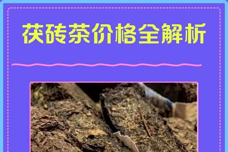 不同品牌的茯砖茶有什么区别？怎么选？-2