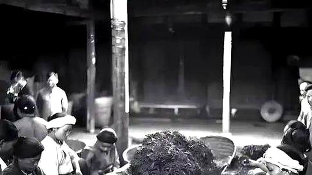 抗战时期的安化黑茶：烽火中的茶业坚守
