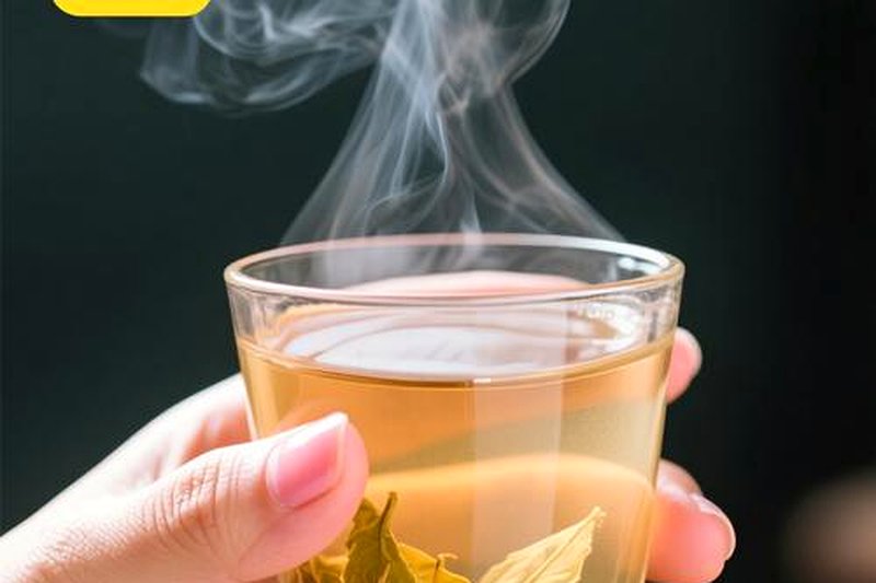 黑茶中的他汀类物质：传说中的降脂成分真实吗？-2