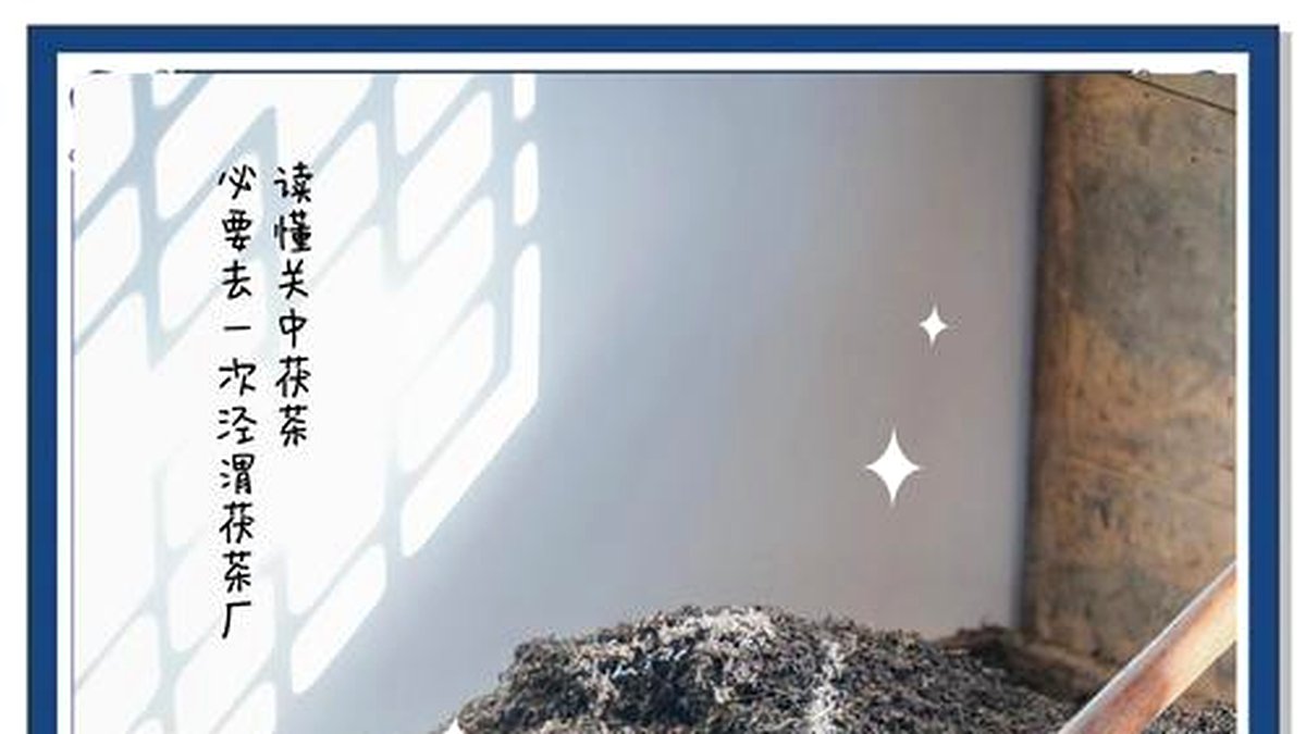 茯砖茶的发花工艺：温湿度如何精准控制金花生长？