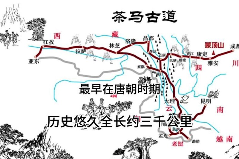 安化黑茶与丝绸之路：草原茶道的历史见证-2