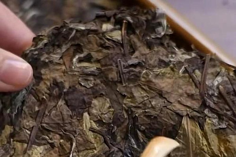 黑茶放多少年才算老茶？年份茶怎么辨真假？-1