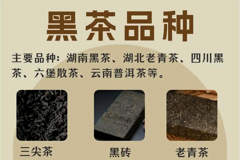散茶天尖贡尖生尖：三个等级的实际区别-2