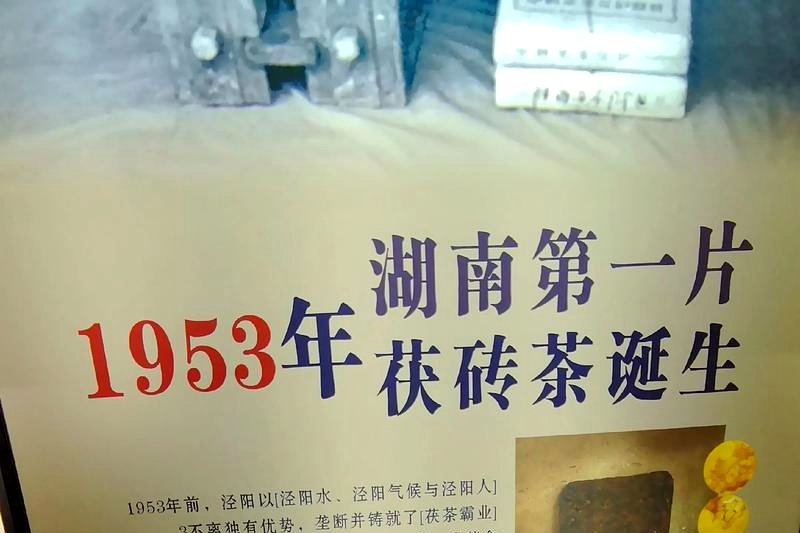 安化茶马博物馆：一座建筑里的黑茶历史长卷-2