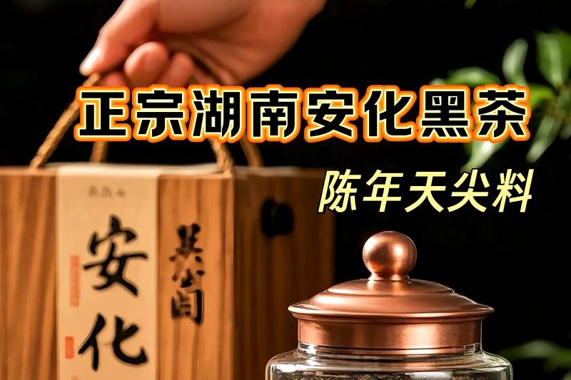 黑茶能天天喝吗?一天最多喝多少合适?-2