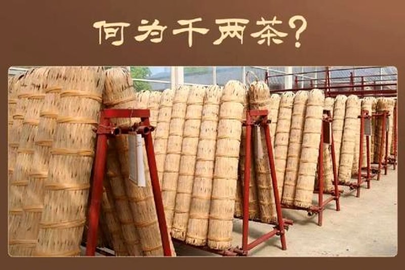 千两茶的诞生：一种压茶工艺的历史考证-1