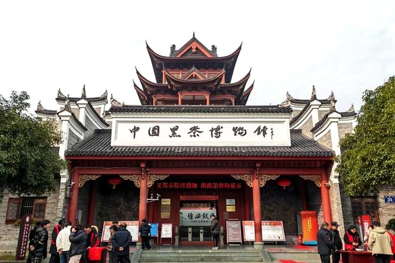 安化茶马博物馆：一座建筑里的黑茶历史长卷-2