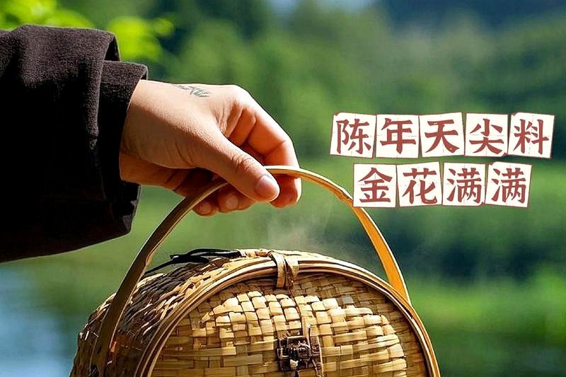 安化黑茶的色泽之谜：为什么茶汤是橙红色？-2
