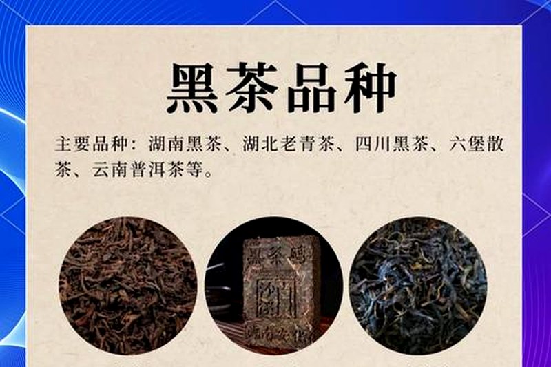 便宜的黑茶和贵的黑茶区别在哪？值得买高价茶吗？-1