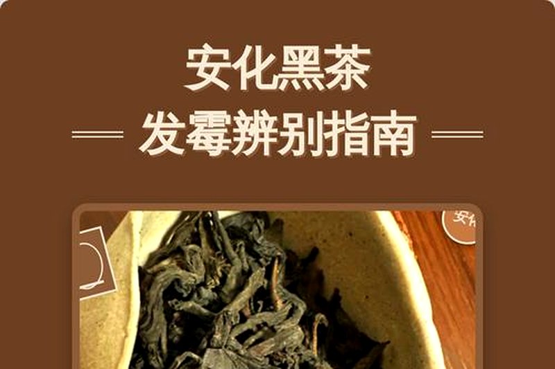 黑茶茶汤为什么有时候发浑？怎么泡出清亮的汤色？-1