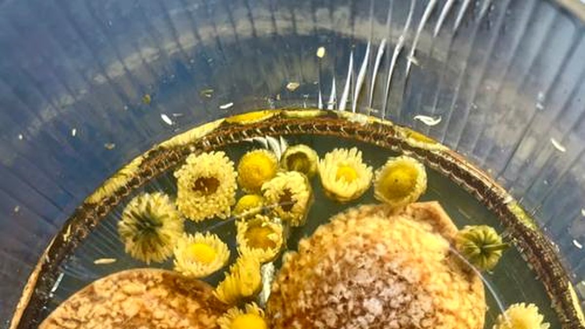 安化黑茶与花草茶的搭配：陈皮、玫瑰、菊花哪个最配？