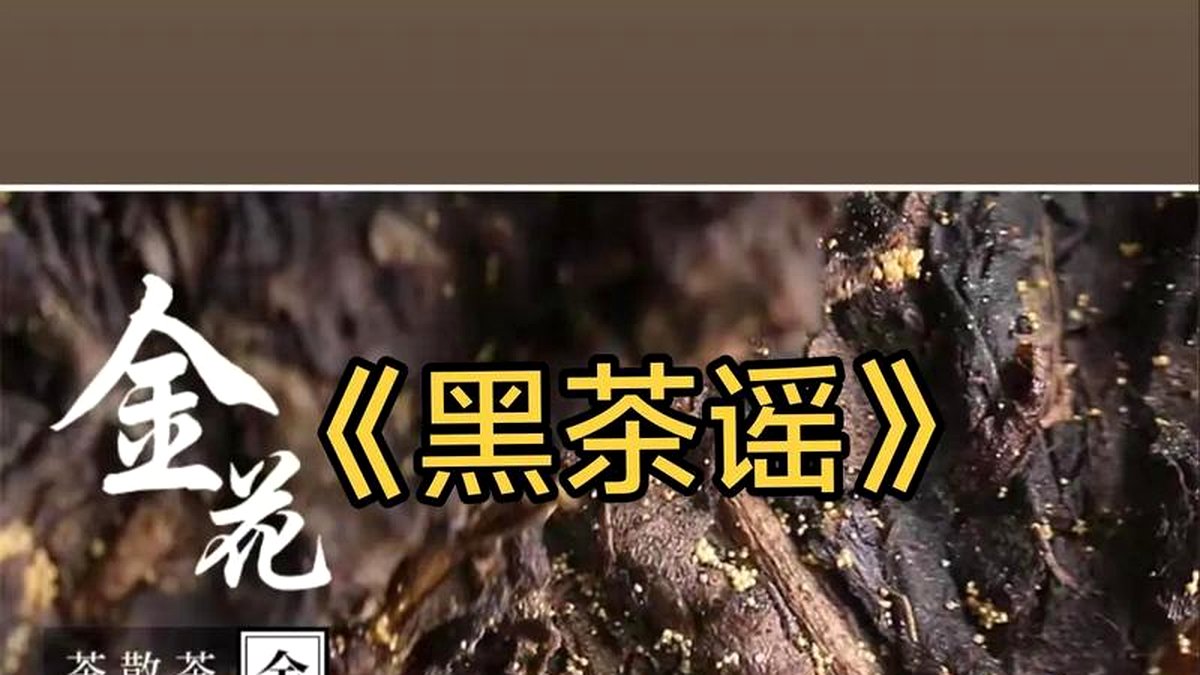 茯砖茶的发花工艺：温湿度如何精准控制金花生长？
