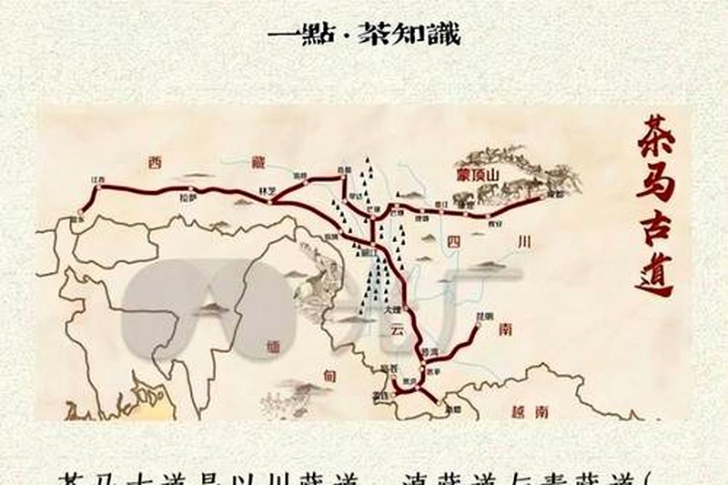 安化黑茶与丝绸之路:草原茶道的历史见证-2
