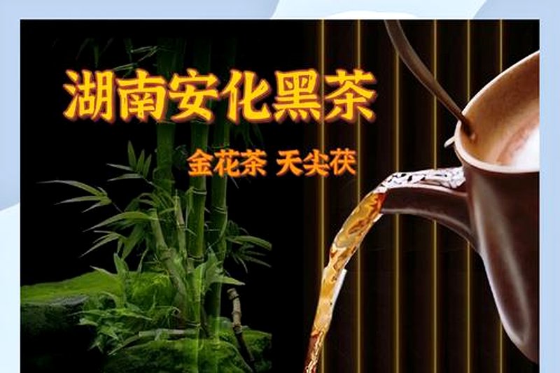 黑茶的叶底发黑是正常的吗?-2