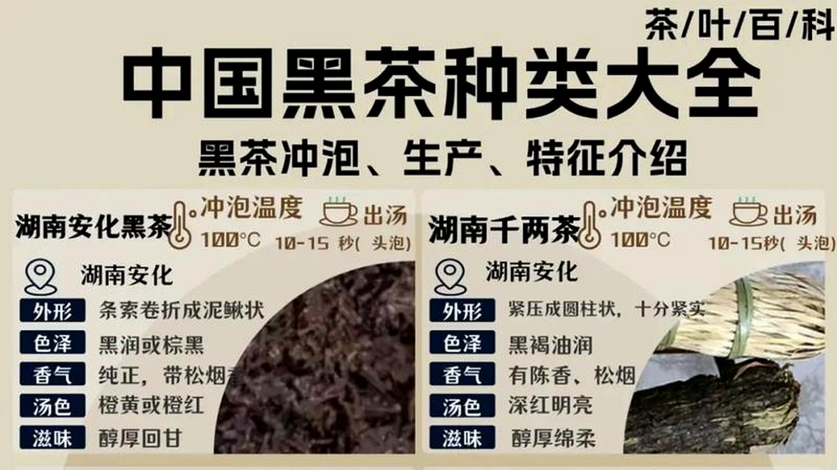 黑茶能和中药一起喝吗？有什么禁忌？